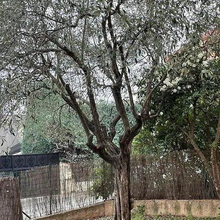 Cosy Avec Jardin شقة